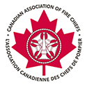 fire chess logo