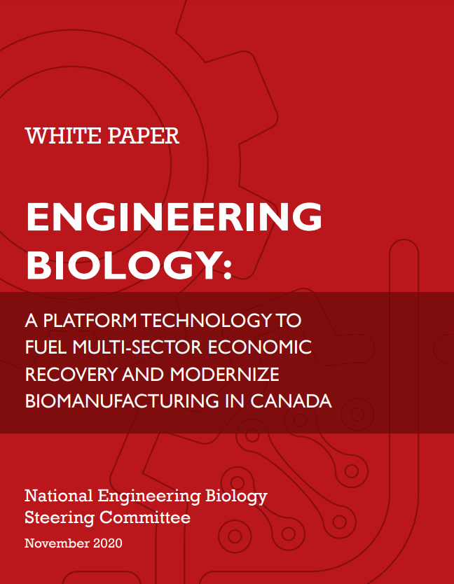 Fond rouge avec le texte : White Paper Engineering Biology - une plate-forme technologique pour alimenter la reprise économique multisectorielle et moderniser la biofabrication au canada