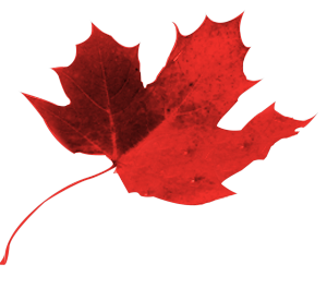 CSPC Canada leaf Icon