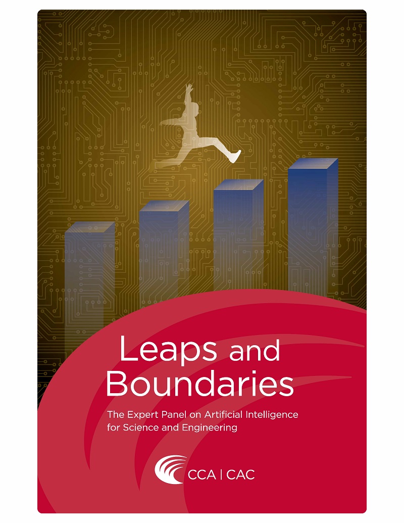 Cover of a book titled 'leaps and boundaries' with an icon of a man leaping over a bar graph