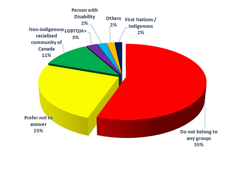 Delegates Distribution by Equity Groups Pie Chart